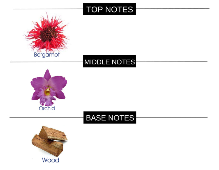 BITTER BERGAMOT COMPARED TO TEASE PLEASE FRAGRANCE BODY BUTTER - Ceed Fragrances