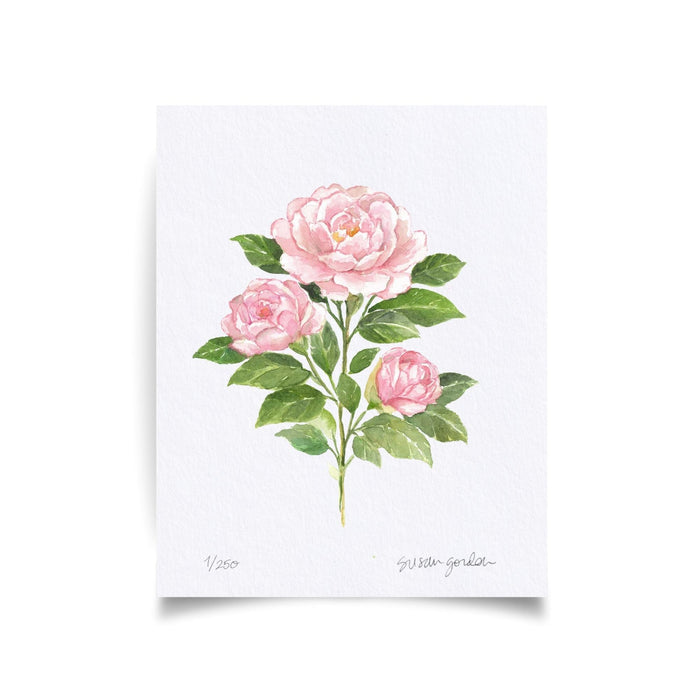Unframed Print