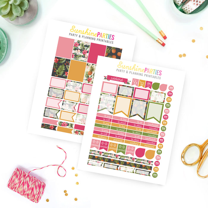Pineapple planner stickers