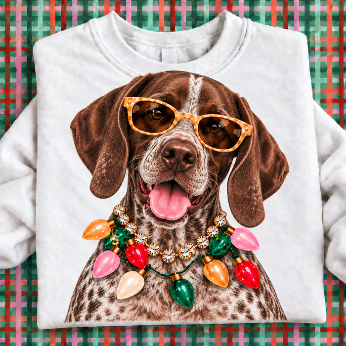 German Shorthair Pointer / Small