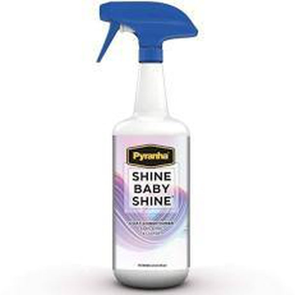 Shine Baby Shine