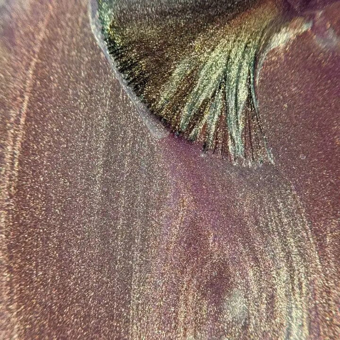 TGB Sunkissed Magnetic THE GELBOTTLE