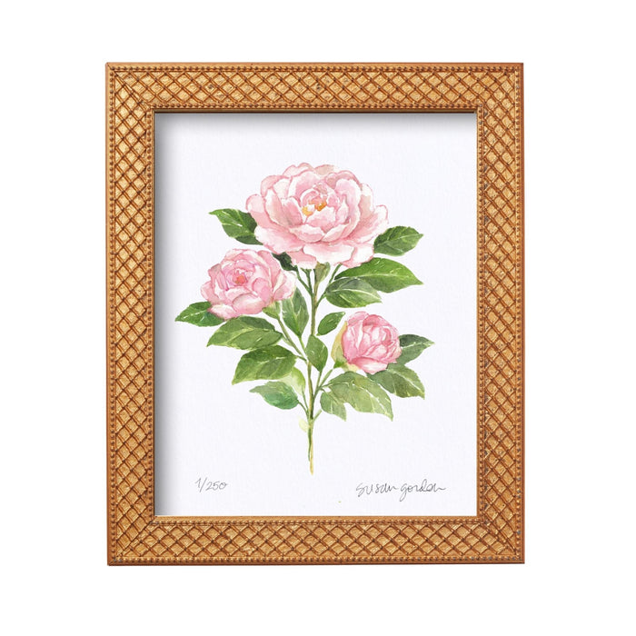 Camellia Archival Art Print — Camellia print in the Trellis frame; Susan Gordon