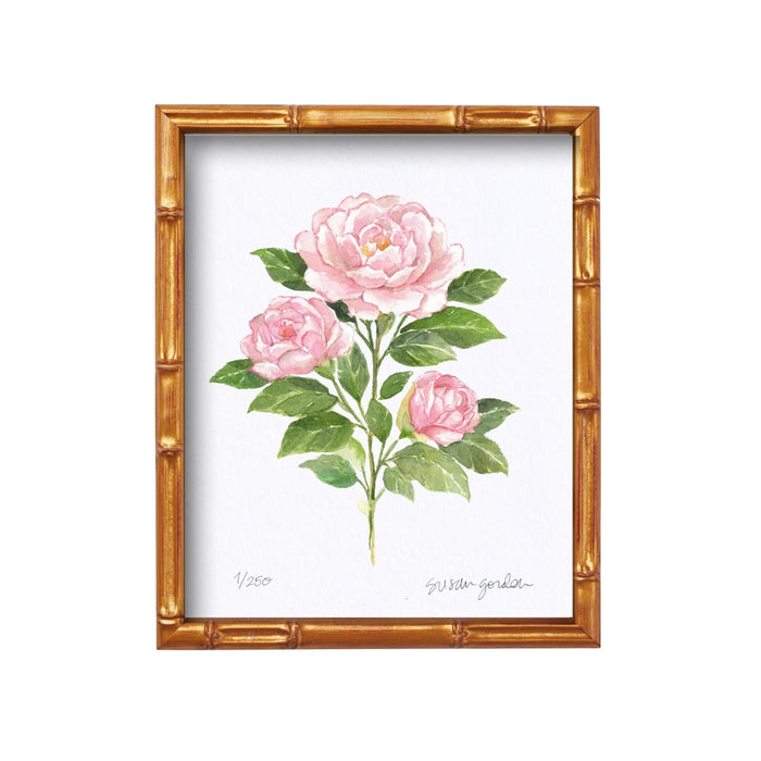 Bamboo Framed Print