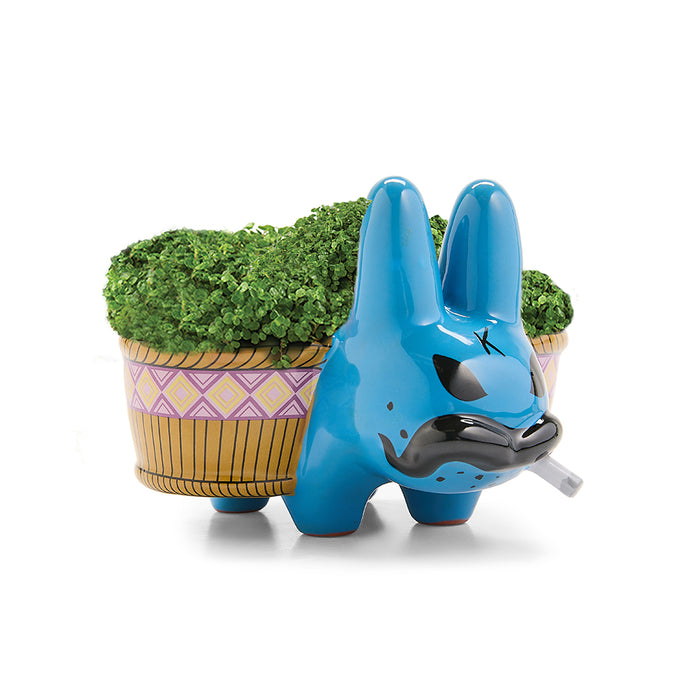 Chia Pet Smorkin’ Labbit in cool blue with vibrant chia sprouts, limited edition terracotta figurine by Labbit, Kidrobot exclusive.