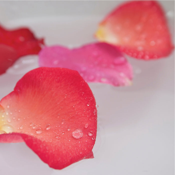 ingredient image - Roses with drops of water