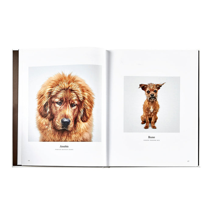 Good Dog: A Selection of Portraits by Randal Ford in Ivory Bonded Leather — open pages showing the edition’s printed content