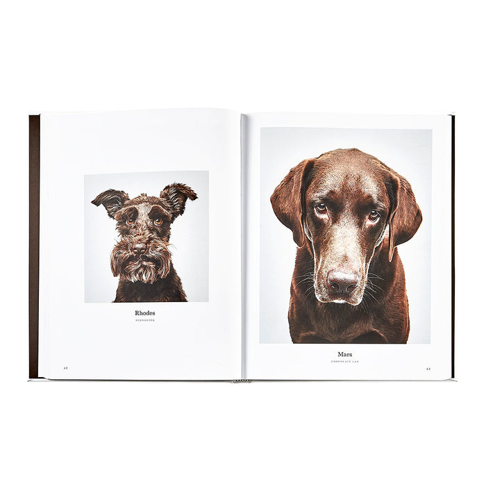 Good Dog: A Selection of Portraits by Randal Ford in Ivory Bonded Leather — open pages showing the edition’s printed content