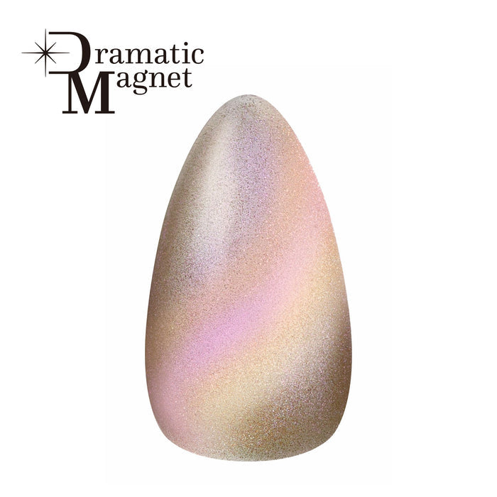 Kokoist Dramatic Magnet DR-04 Dramatic Stone Magnet Gel KOKOIST