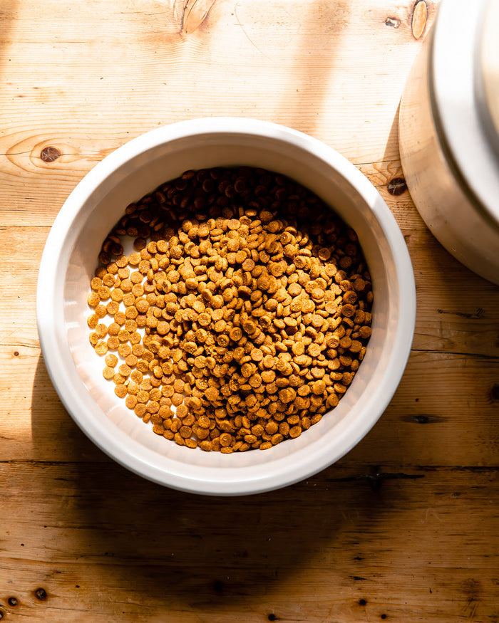 Laurel Stoneware Dog Bowl — overhead view of a bowl filled with kibble; Farmhouse Pottery