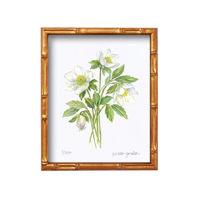 Lenten Rose Archival Art Print — Lenten Rose print in the Bamboo-style frame; Susan Gordon