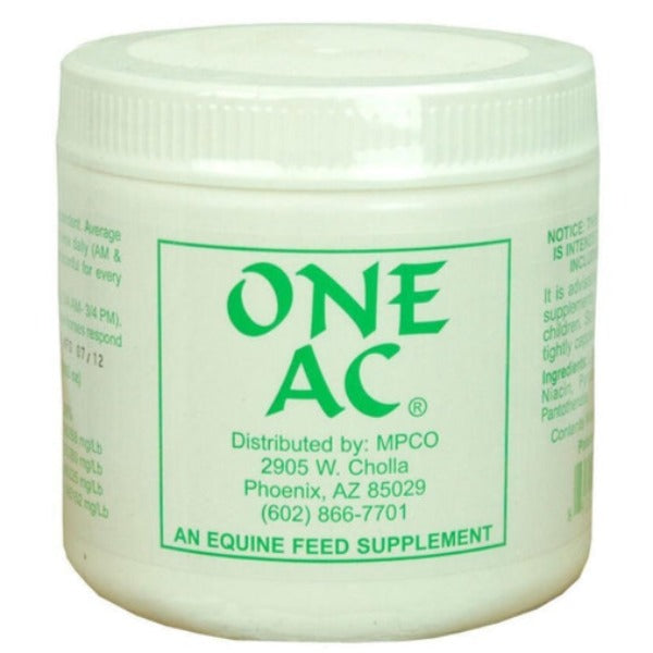 ONE AC-EZhorse.com