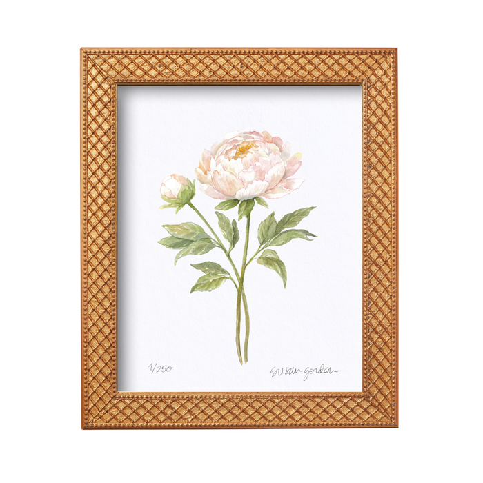 Peony Archival Art Print — Peony print in the Trellis frame; Susan Gordon