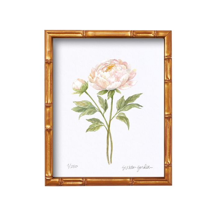 Peony Archival Art Print — Peony print in the Bamboo-style frame; Susan Gordon