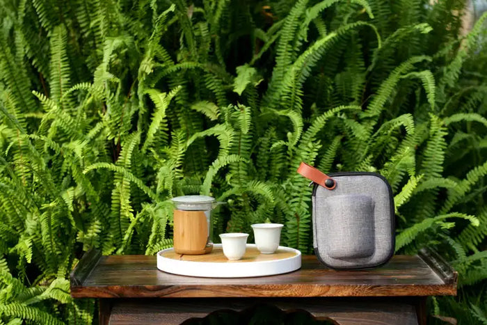 Portable Gongfu Tea Set for Travelling 2 Color Variations - King Tea Mall