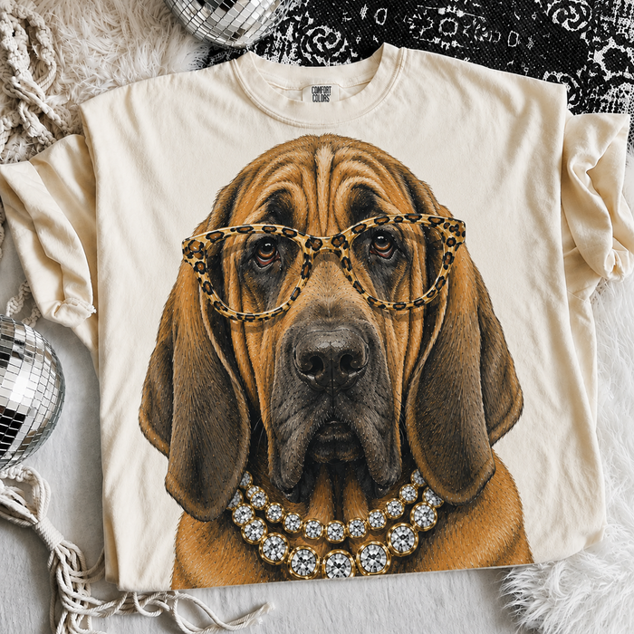 Bloodhound / Small