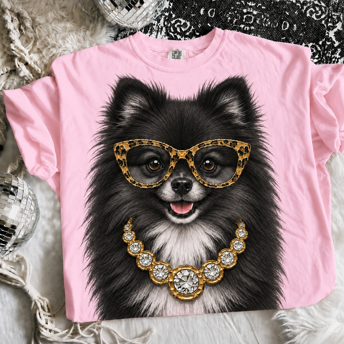Black Pomeranian / Small