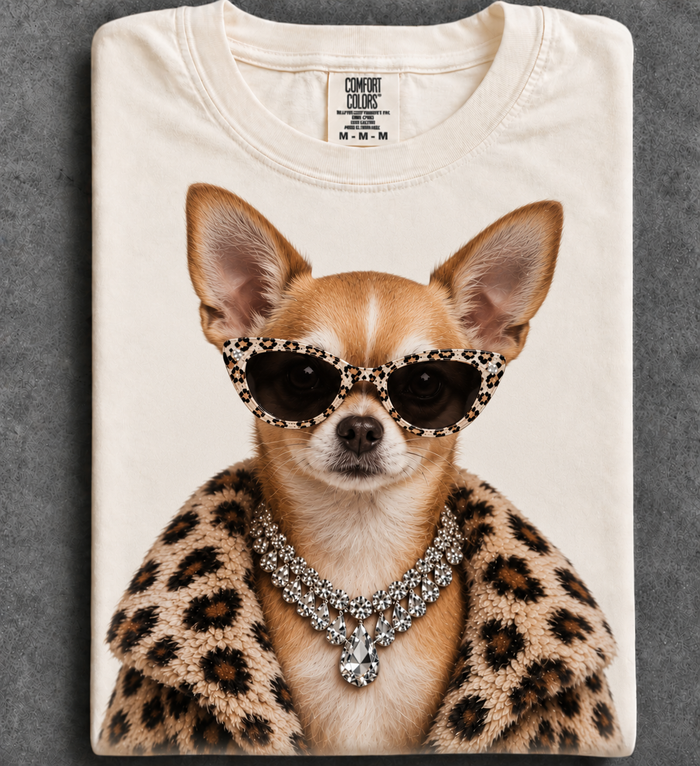 Chihuahua / Small