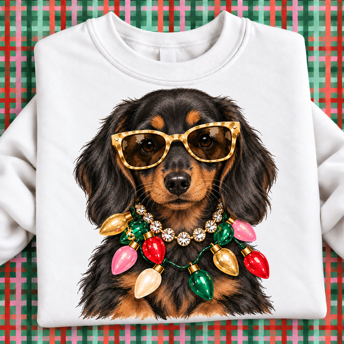 Black/Brown Dachshund