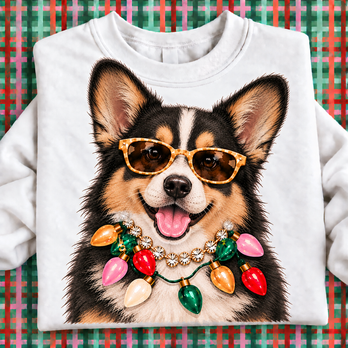 Black/White Corgi