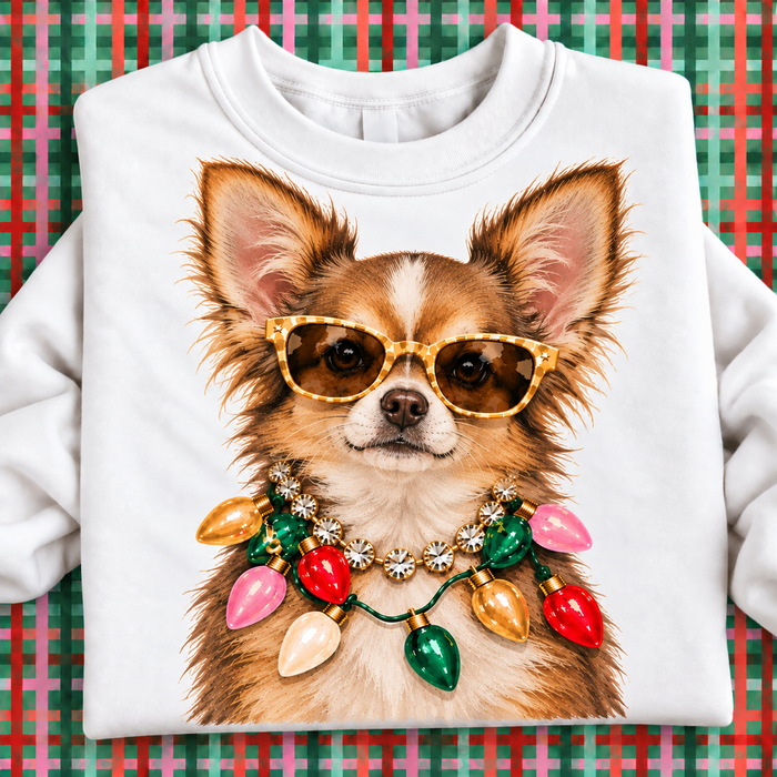 Chihuahua / Small