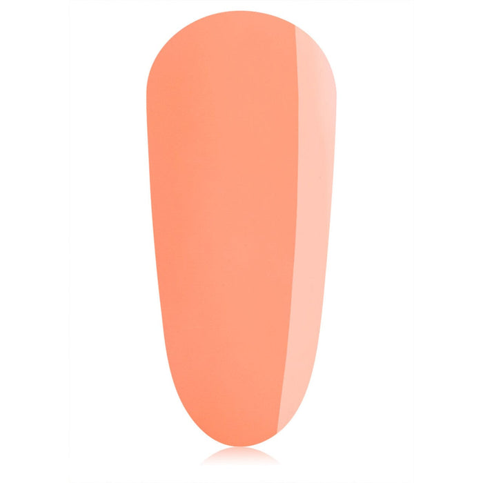 TGB Lollipop All-In-One BIAB™ TPO-Free BIAB THE GELBOTTLE