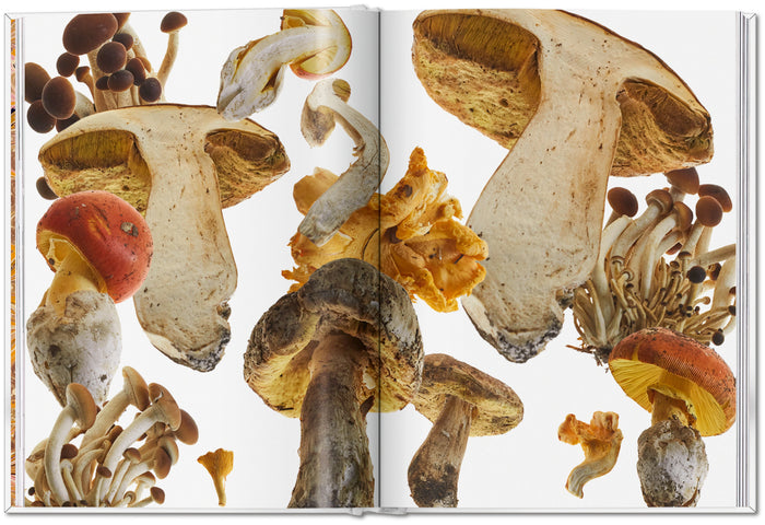 The Gourmand's Mushroom: A Collection of Stories and Recipes published by Taschen