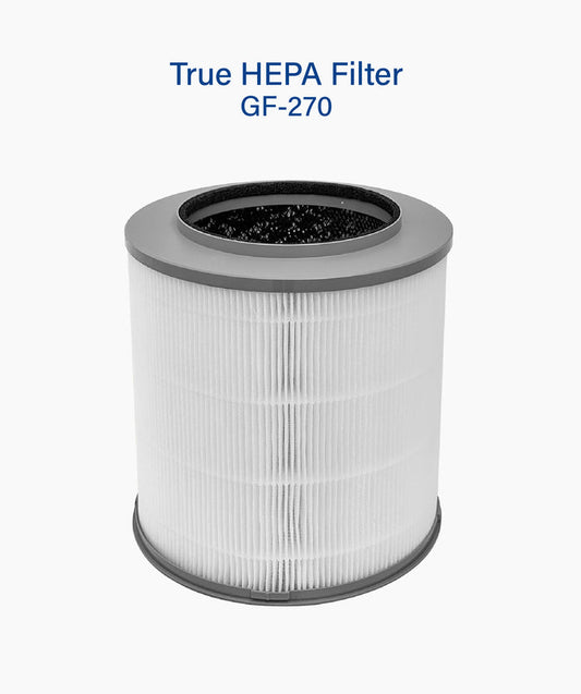 True Hepa Filter (GF-270)