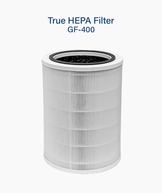 True Hepa Filter (GF-400)